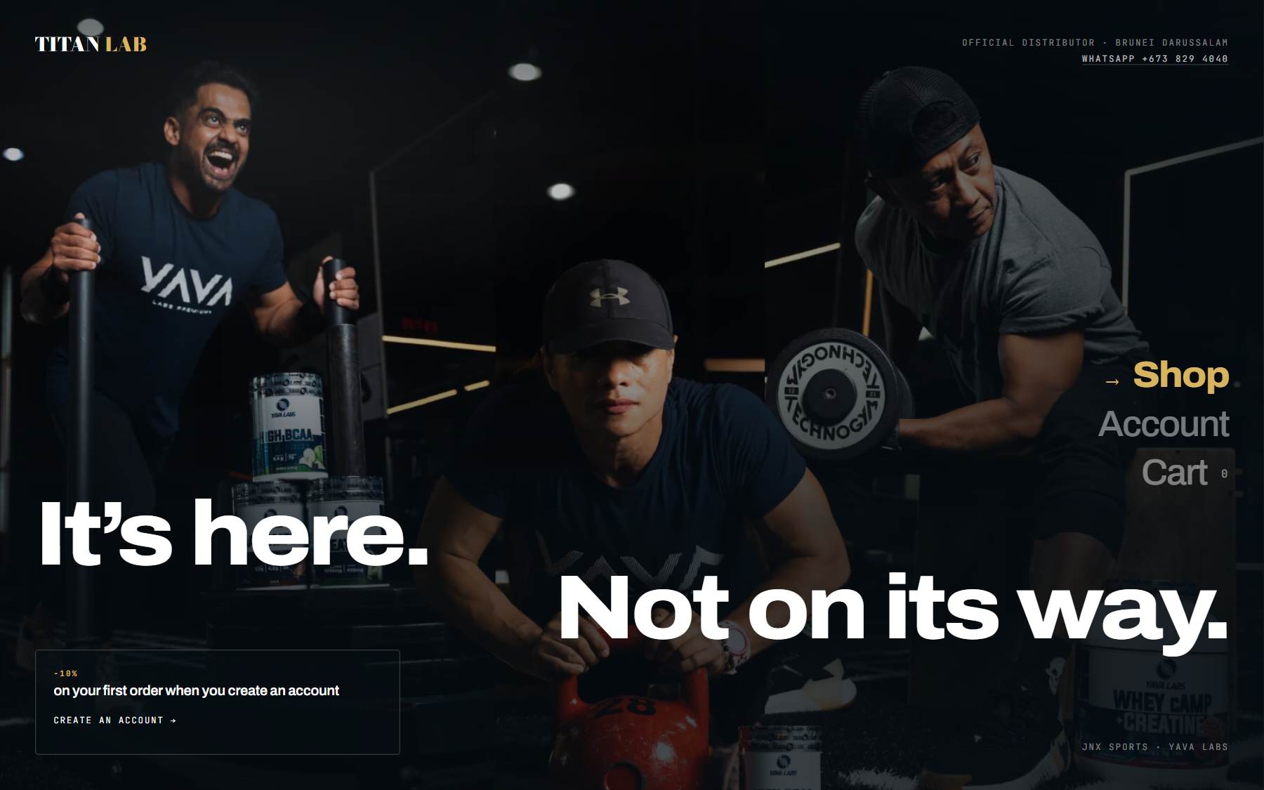 Titan Lab Brunei — the live build at desktop width.